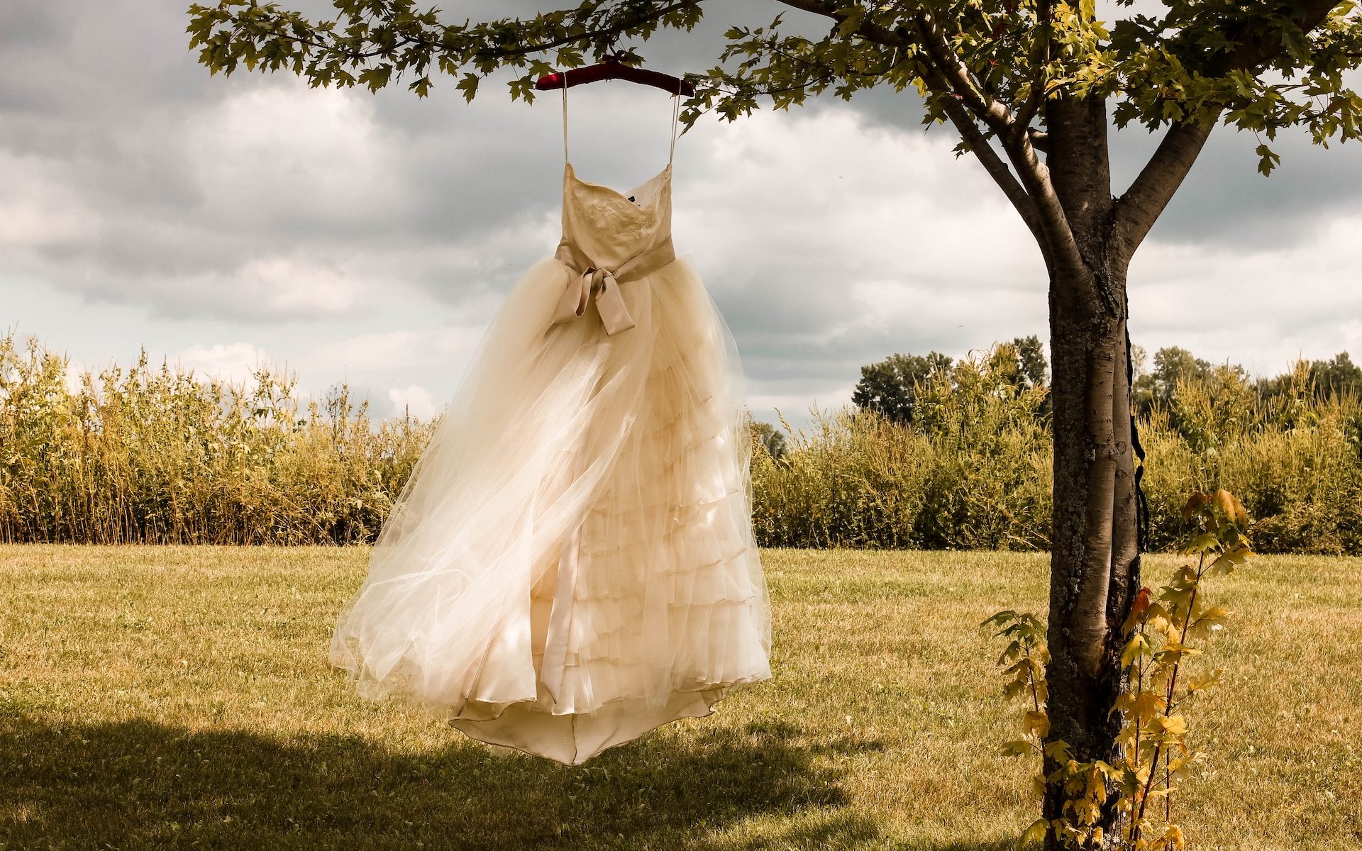 Hanging wedding dress