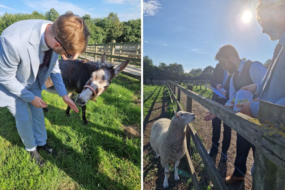 Farm wedding